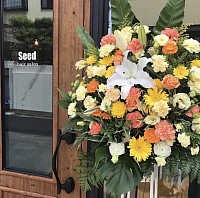 離れて